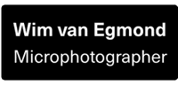 Wim van Egmond